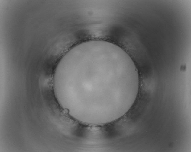 X0000111810419200908131503