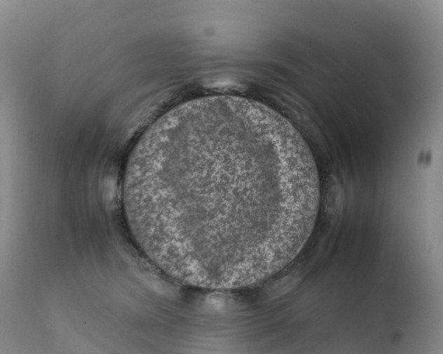 X0000111810420200908131503