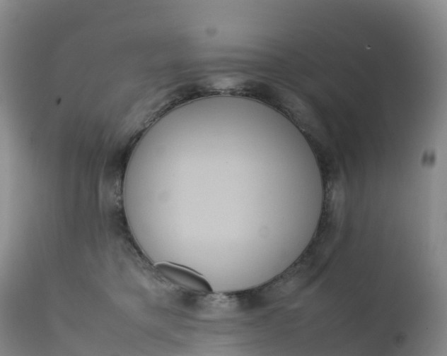 X0000111810421200908131503