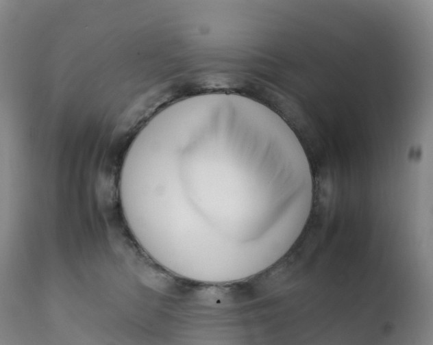 X0000111810422200908131503