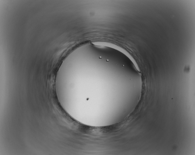 X0000111810423200908131503