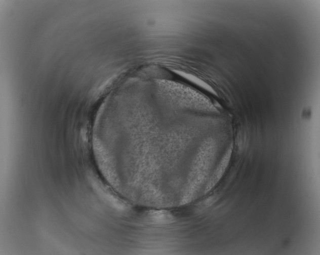 X0000111810424200908131503