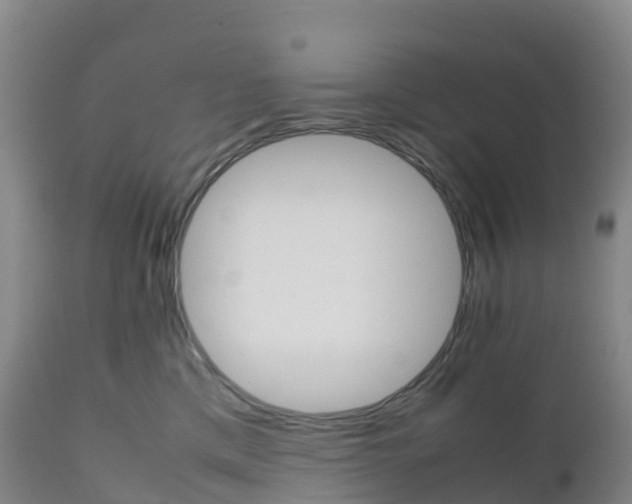 X0000111810425200908131503