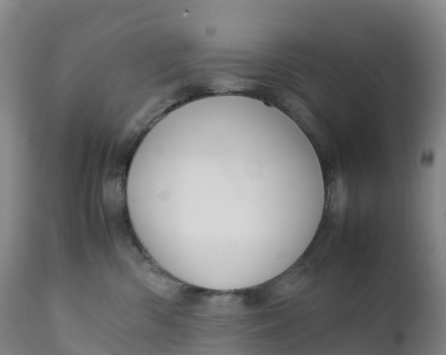 X0000111810426200908131503