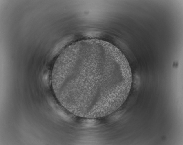 X0000111810428200908131503