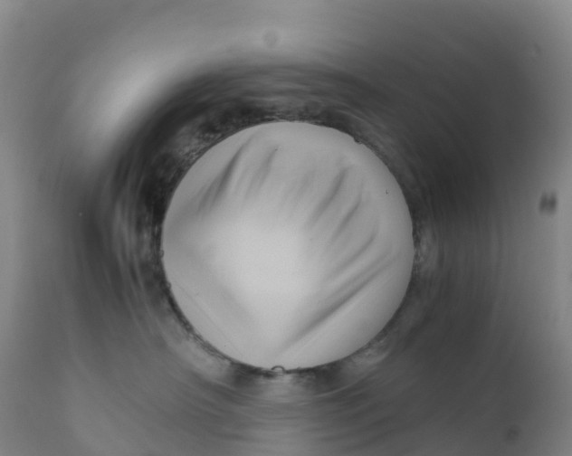 X0000111810430200908131503