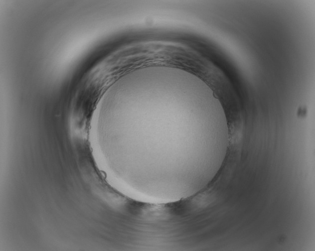X0000111810431200908131503