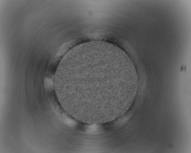 X0000111810432200908131503