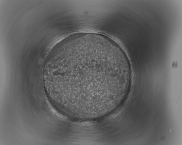 X0000111810433200908131502