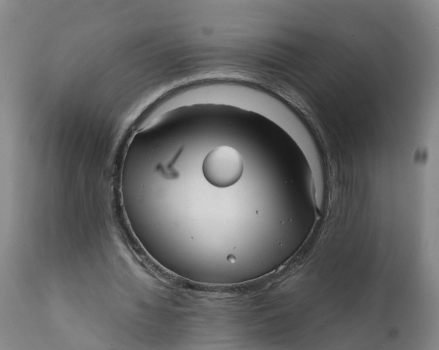X0000111810436200908131502