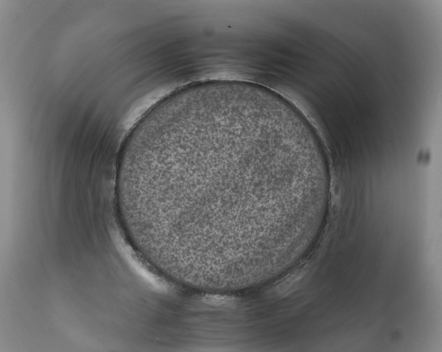 X0000111810437200908131503