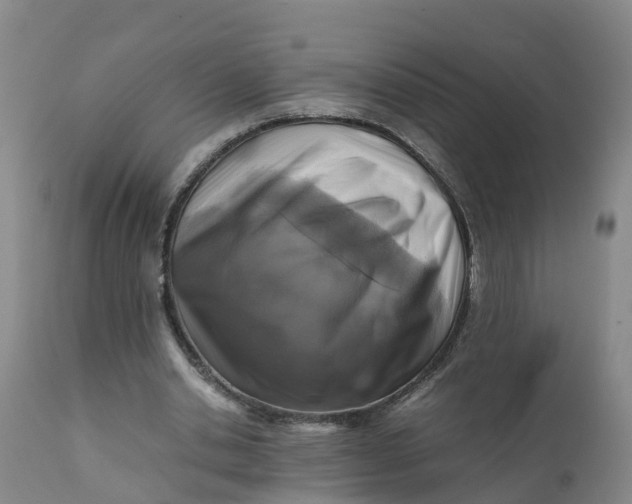 X0000111810438200908131503