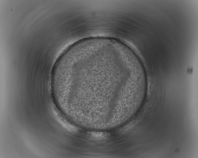 X0000111810439200908131503