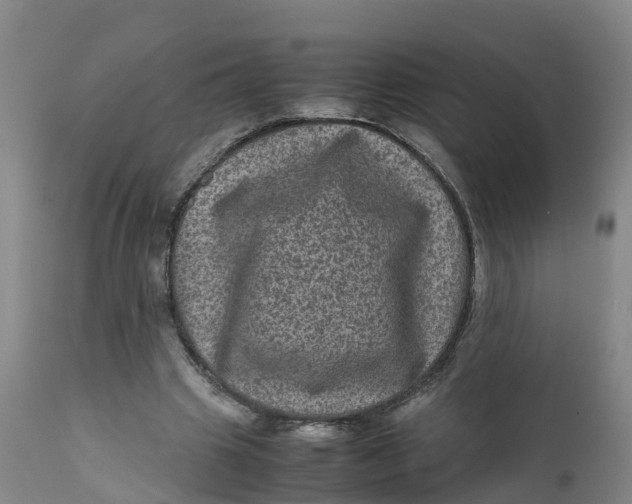 X0000111810441200908131503