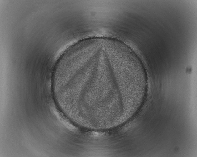 X0000111810442200908131503