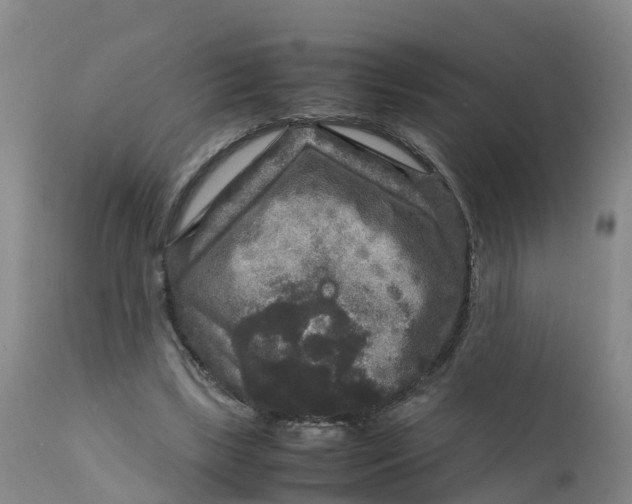 X0000111810443200908131503