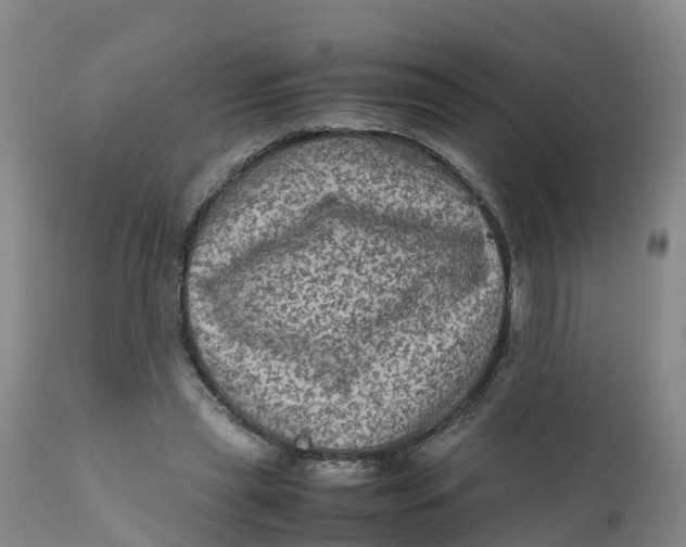 X0000111810445200908131503
