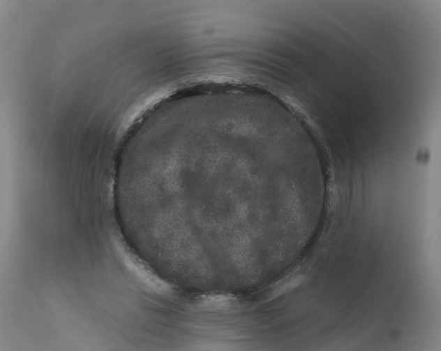 X0000111810446200908131503