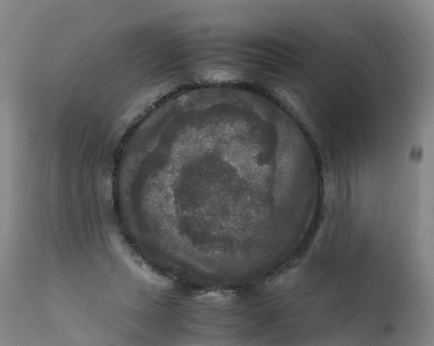 X0000111810447200908131503