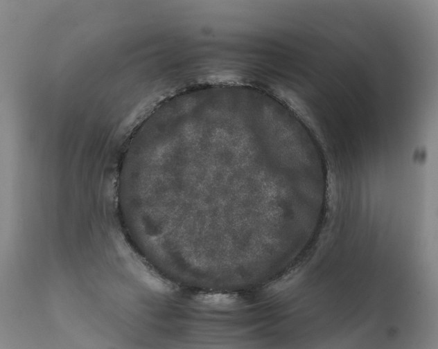 X0000111810449200908131503