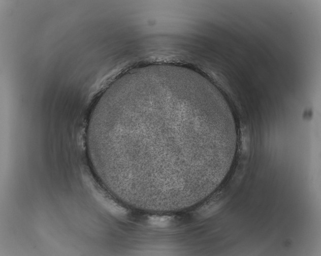 X0000111810450200908131503