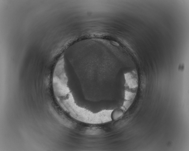 X0000111810451200908131503