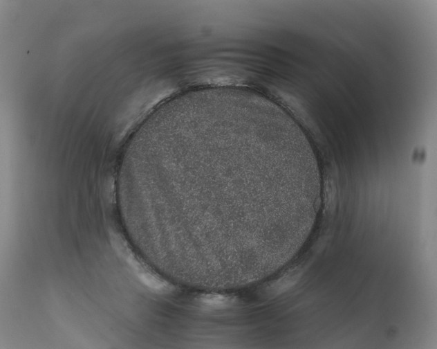 X0000111810453200908131503