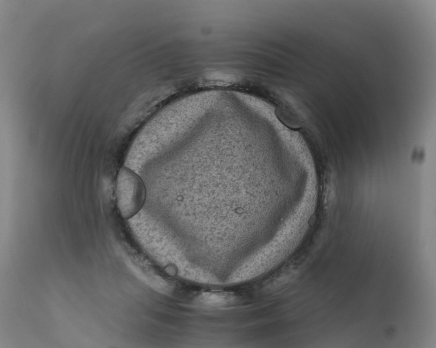 X0000111810455200908131503
