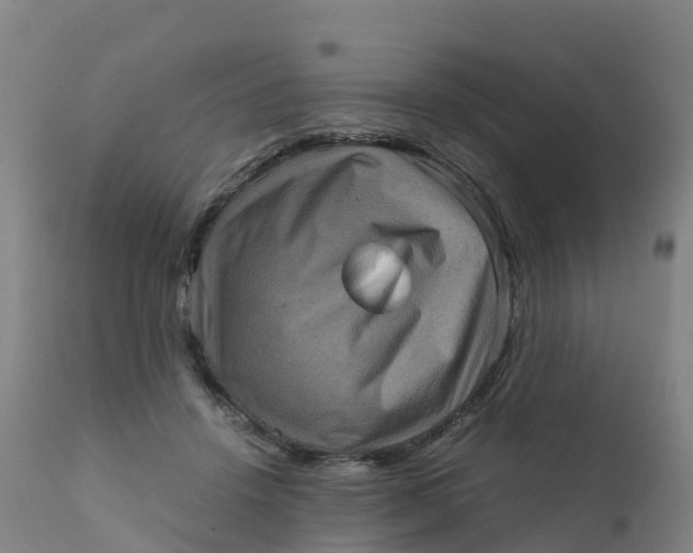 X0000111810456200908131503