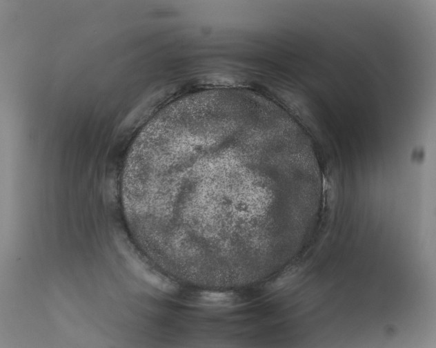 X0000111810457200908131503