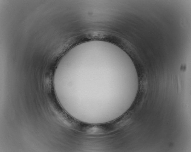 X0000111810460200908131503