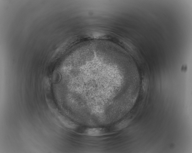 X0000111810461200908131503