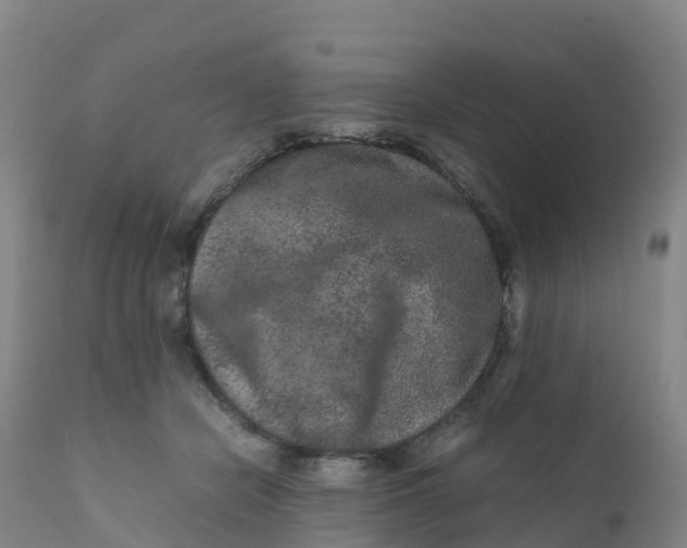 X0000111810462200908131503