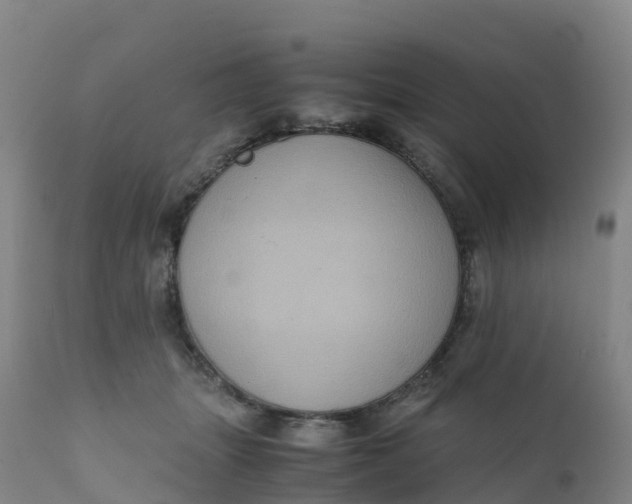 X0000111810463200908131503
