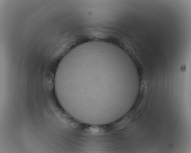 X0000111810464200908131503