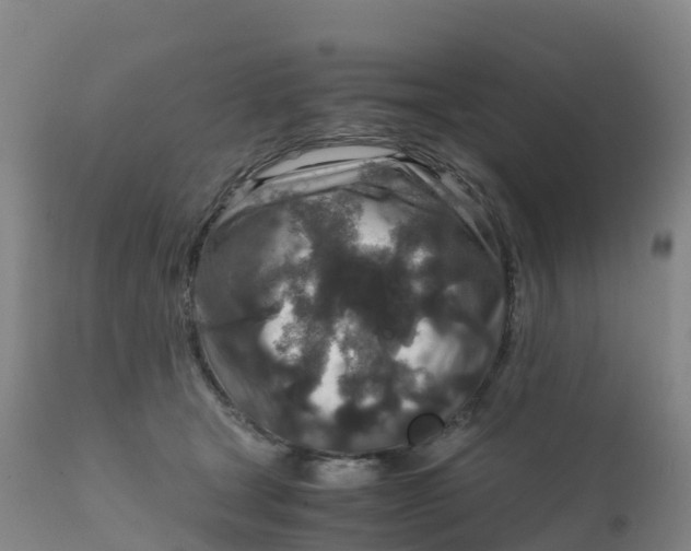 X0000111810465200908131503