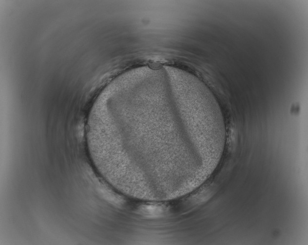 X0000111810466200908131503