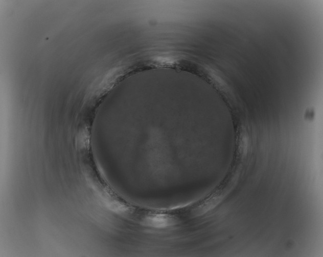 X0000111810467200908131503