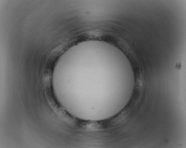 X0000111810468200908131503