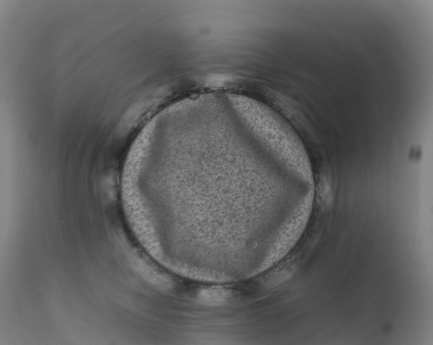 X0000111810470200908131503