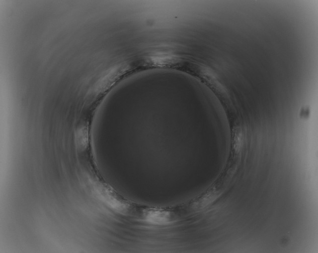 X0000111810471200908131503