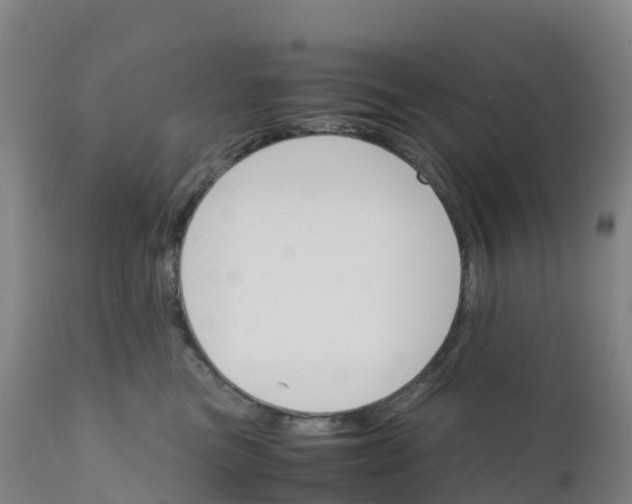 X0000111810473200908131503