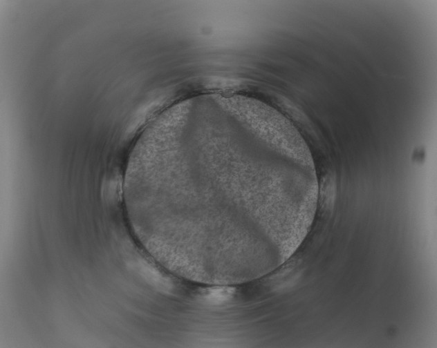 X0000111810474200908131503