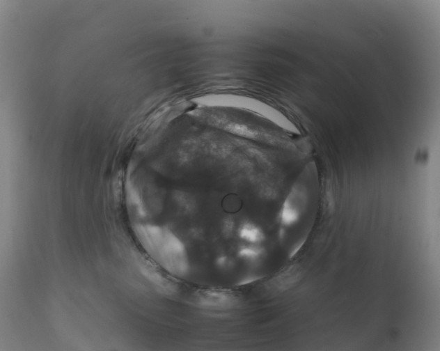 X0000111810475200908131503