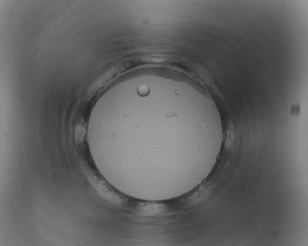 X0000111810476200908131503