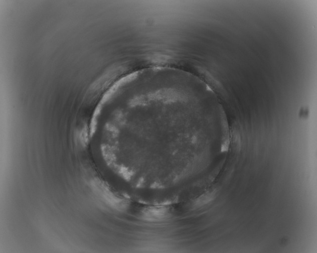 X0000111810479200908131503