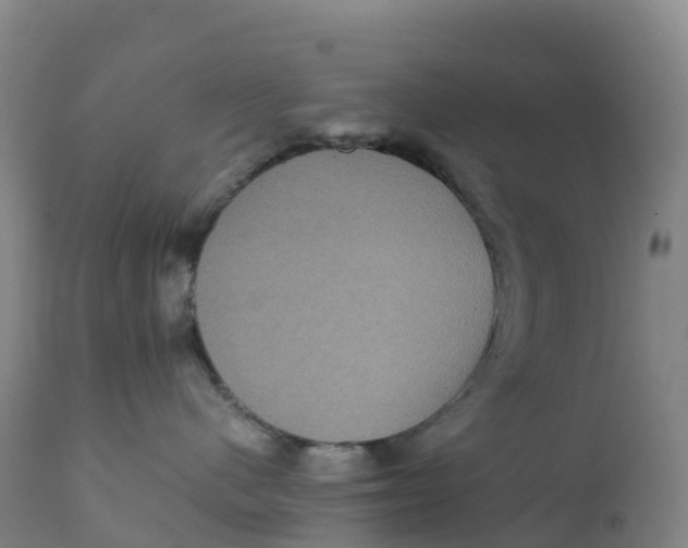 X0000111810480200908131503