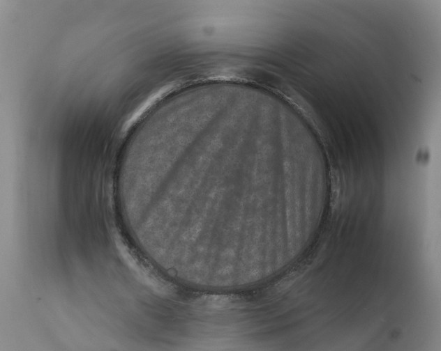 X0000111810482200908131502