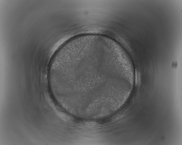 X0000111810483200908131502