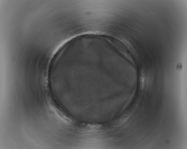 X0000111810484200908131502